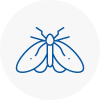 Moth Control Specialists In Romsey